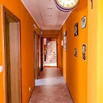 Hostel Kamienica Plock